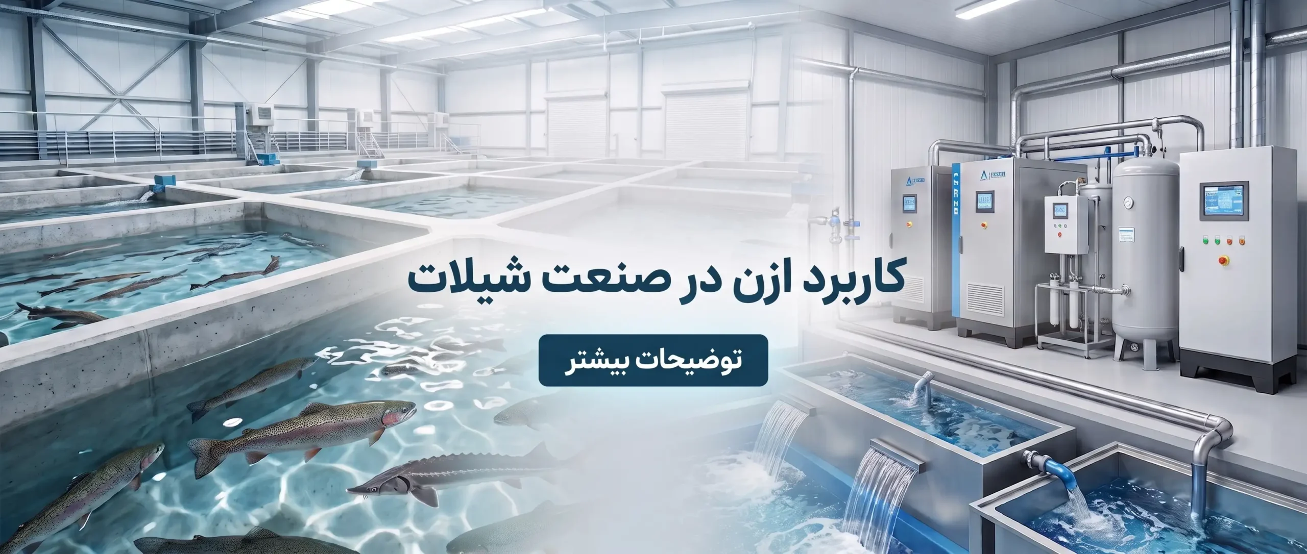 کاربرد ازن در صنعت شیلات